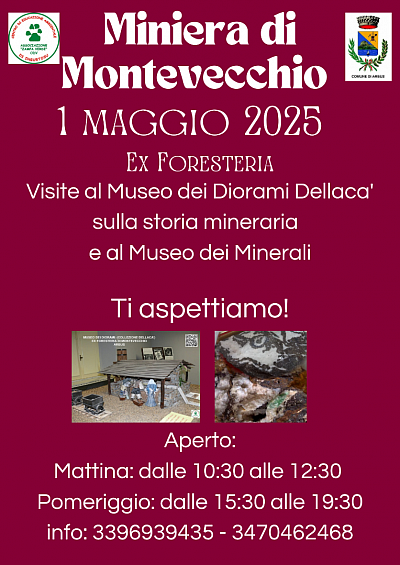 Visite Museo Diorami e Museo Minerali