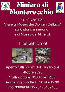 Orari di visita musei 2026